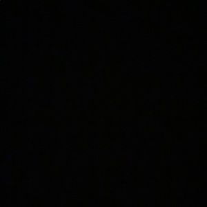 Meet your Posher, Tyelar